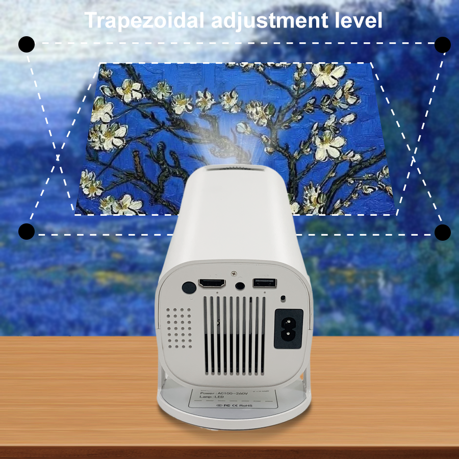 E100 Projector Display